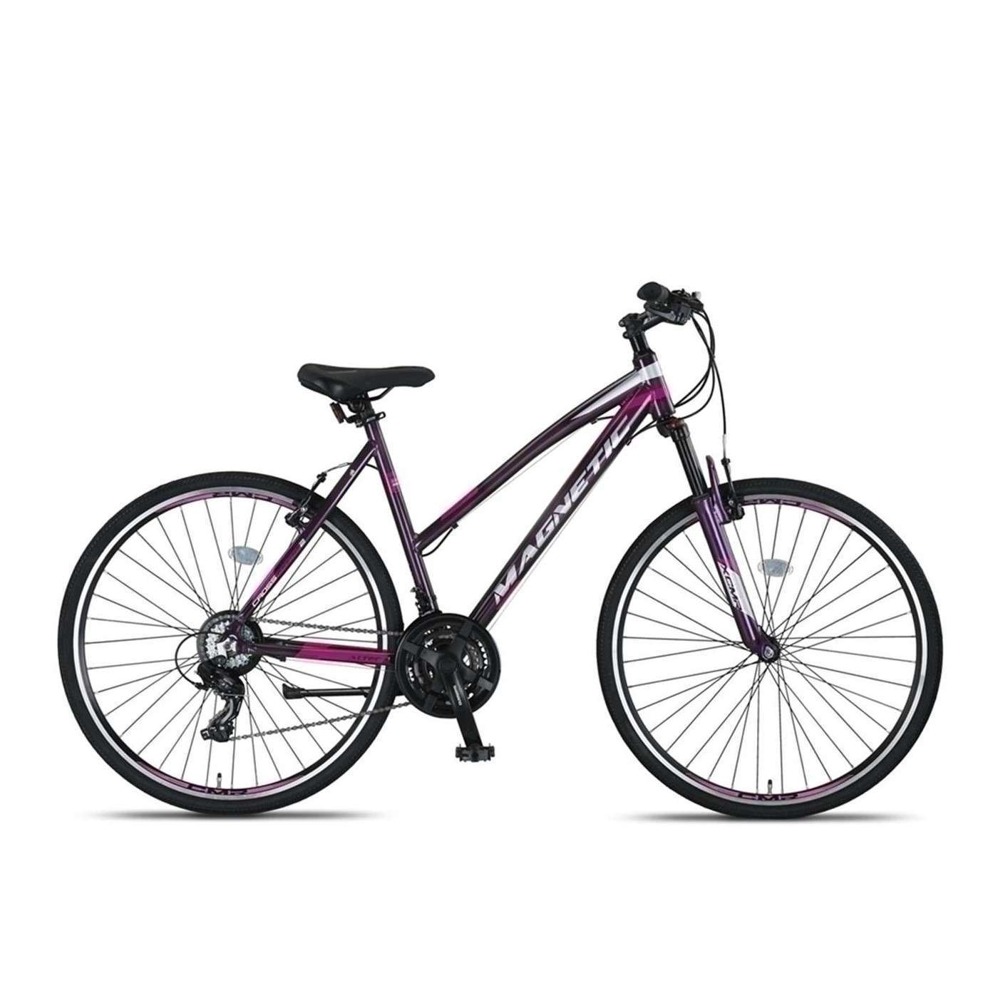 Altec | Dames Stad & Toerfiets Magnetic, 28 Inch, 52 cm, 21V, V-Brakes, Antraciet