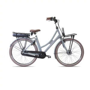 Avalon E-Bikes | Elektrische Damesfiets E-Cargo, 28 Inch, 50 cm, 7V, Rollerbrake, Matgrijs