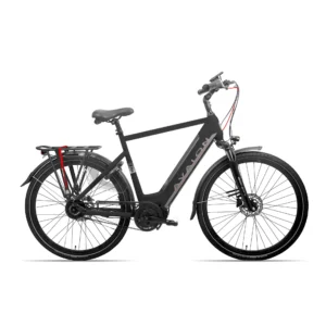 Avalon E-Bikes | Elektrische Herenfiets E-Pro, 28 Inch, 58 cm, 8V, Hydraulische schijfrem, Matzwart