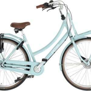 Bimas Dames Transportfiets Transporter 3.3 28 Inch 50 cm 3V Rollerbrake Mintblauw