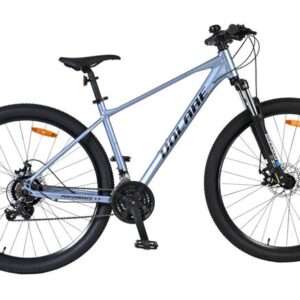 Volare X-Trail MTB - Jongens - 29 inch - M - Grijs - 21 versnellingen